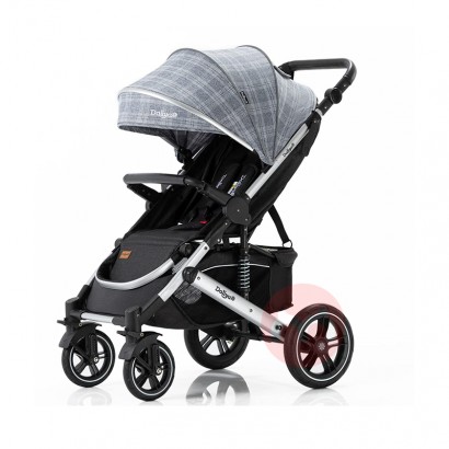 Daliya Zwei -Way -Faltbarer grauer Muster Kinderwagen
