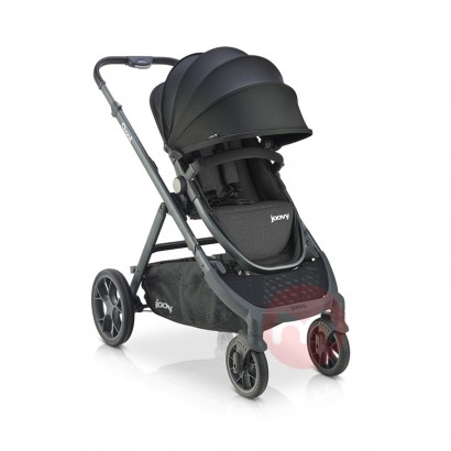 Joovy Multi -Funktion zwei -Way -St...