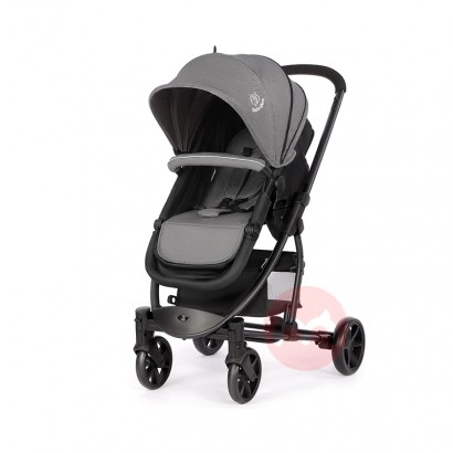 Hadwin Zwei -in -two -Way -Babywage...