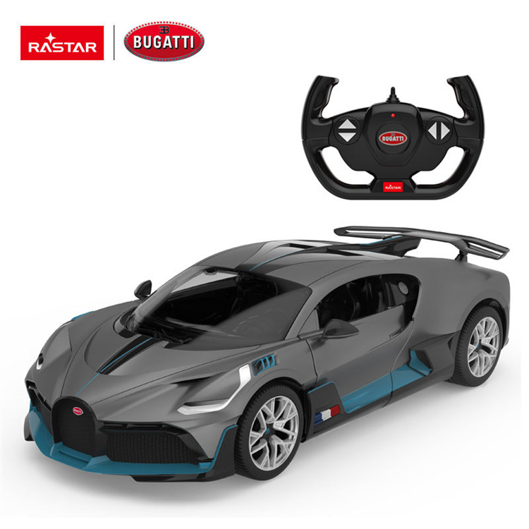 RASTAR Lamborghini 1:14 Remote Toy Car Car Model