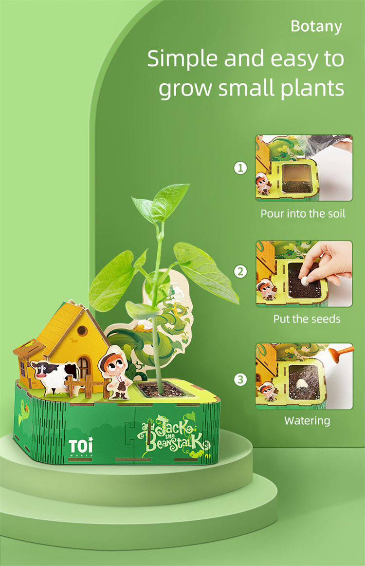 TOI 3D -Puzzlespielzeug für Mini -Gartenpflanzung