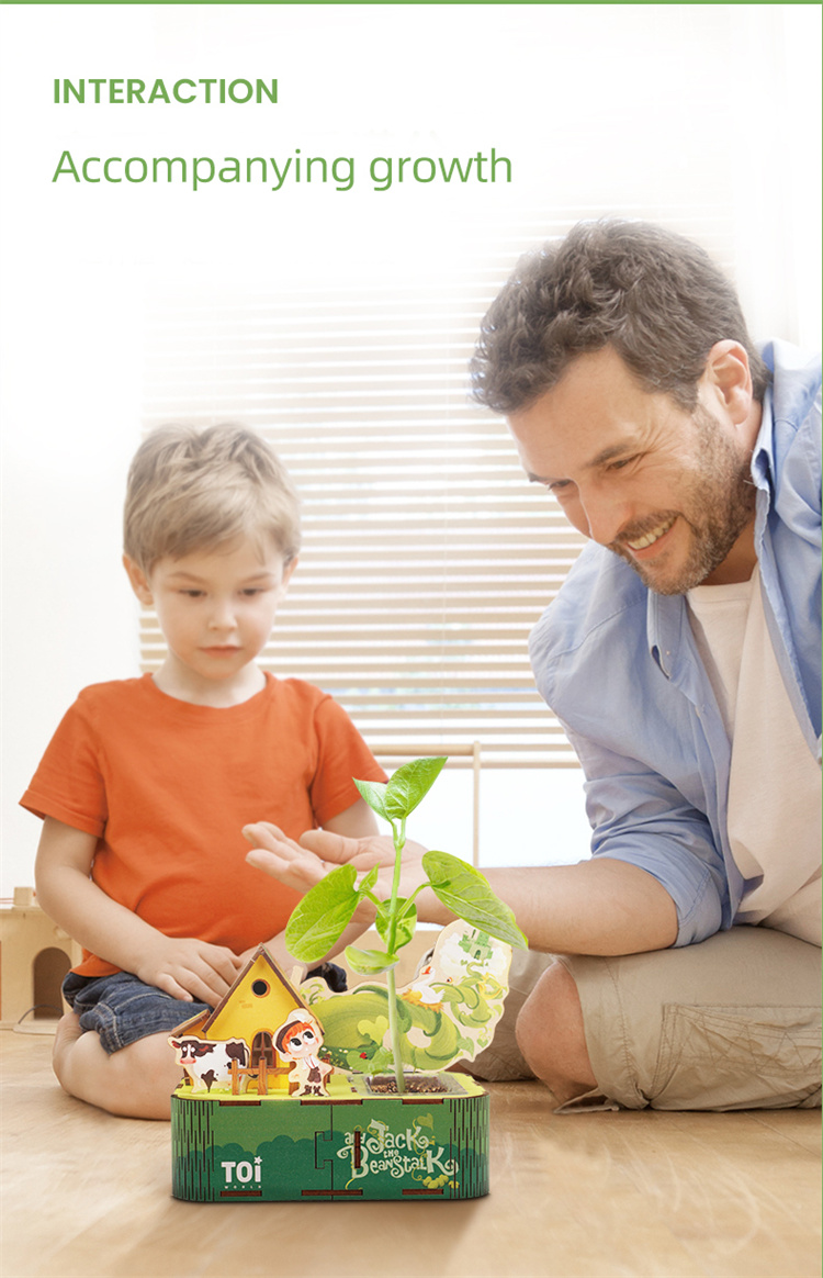 TOI 3D -Puzzlespielzeug für Mini -Gartenpflanzung