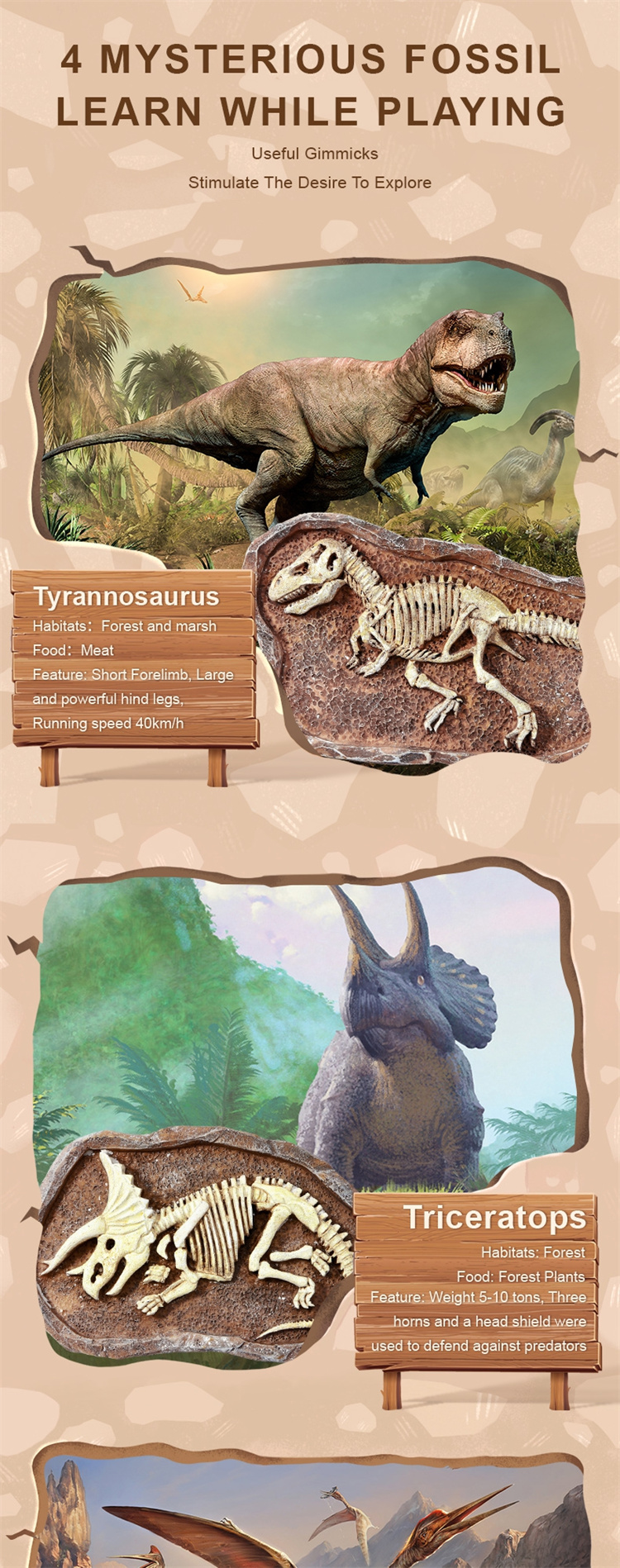 Mideer Fossile archäologische Ausgrabungsspielzeug der Dinosaurier