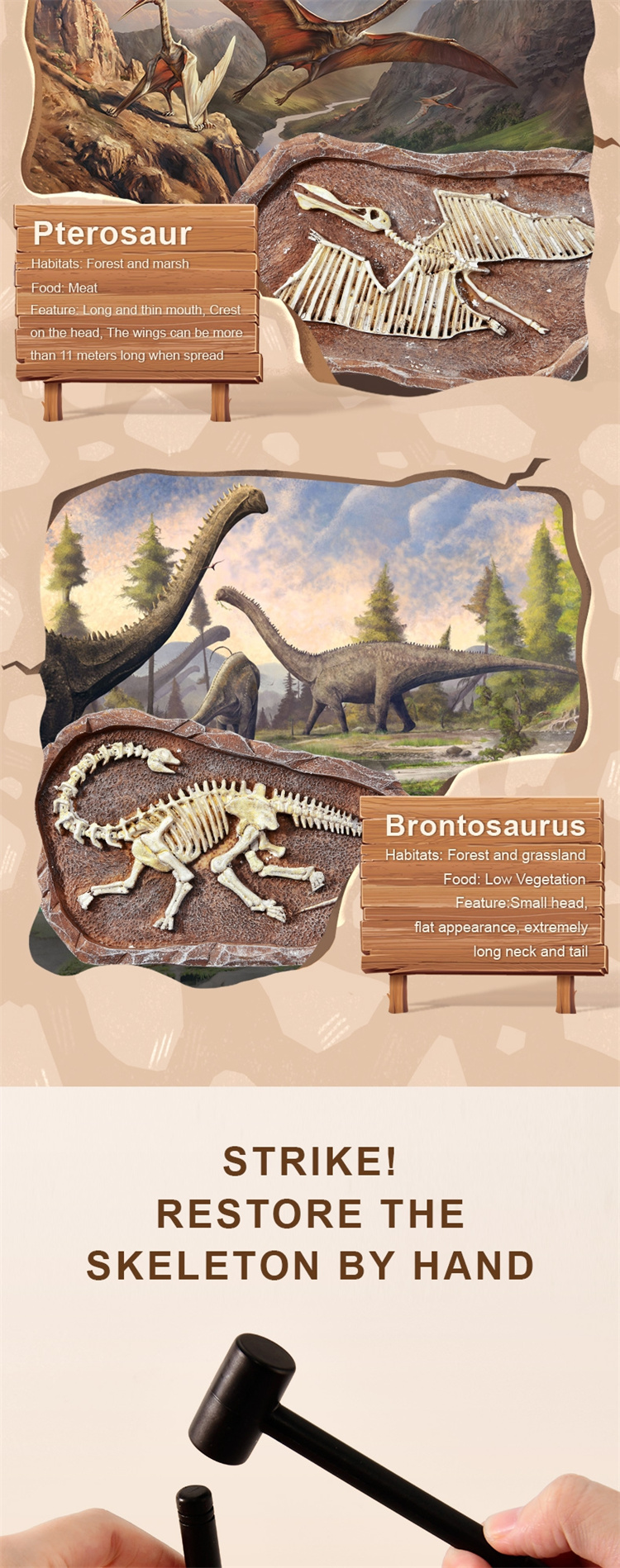 Mideer Fossile archäologische Ausgrabungsspielzeug der Dinosaurier